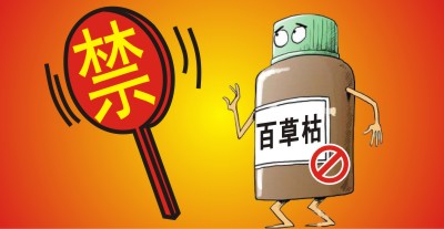 百草枯將被禁用?。繙缟猿輨┦袌鲞M(jìn)入洗牌期，誰能搶占先機(jī)？                   來源于  農(nóng)資與市場  王奕